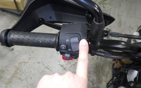 TRIUMPH SCRAMBLER400X 2025