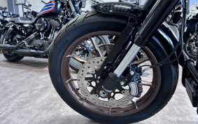 HARLEY FXLRS 2020 YWK