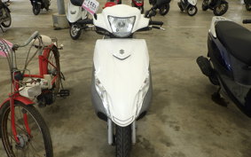 SUZUKI ADDRESS V125 DT11A