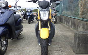 HONDA ZOOMER-X