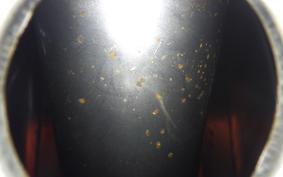 HONDA XL250S 2025 L250S