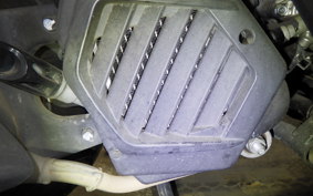 HONDA TACT Basket 2021 AF75