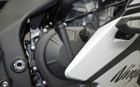 KAWASAKI ZX-4R SE 2024 ZX400P