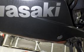 KAWASAKI NINJA 250