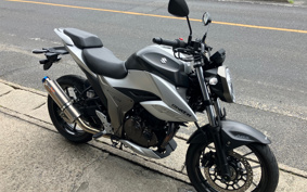 SUZUKI JIKUSA-250 ED22B