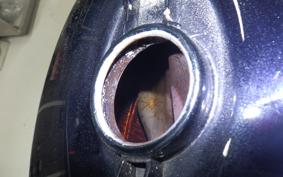 KAWASAKI Z900 2016 Z1F