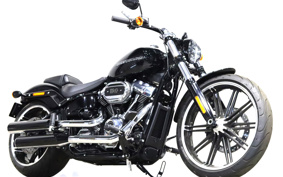HARLEY FXBRS 2022 YHK