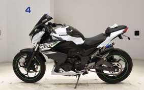 KAWASAKI Z250