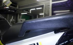 HUSQVARNA NORDEN901 2022