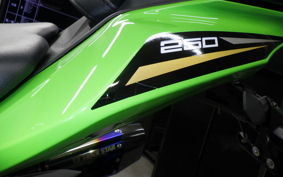 KAWASAKI ZX-25R