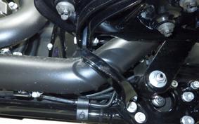 HARLEY FLTRX1920 2025