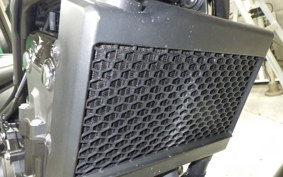 HONDA REBEL 500 A 2024 PC60