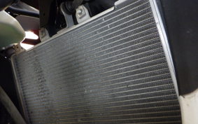 KAWASAKI NINJA 250 EX250P