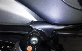 HARLEY XL1200CX 2017