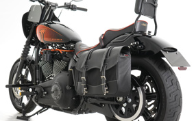 HARLEY FXBBS 2022 YYK