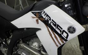 YAMAHA WR250X 2021 DG15J