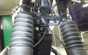 TRIUMPH BONNEVILLE T120 2025