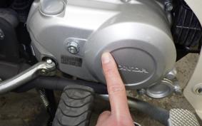 HONDA C110 SUPER CUB 2013 JA59