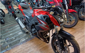 KAWASAKI Z250 ER250C