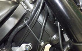 KAWASAKI KLX250D TRACKER X