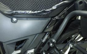 SUZUKI V-STROM 250