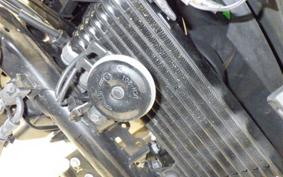 SUZUKI ｼﾞｸｻｰ250SF