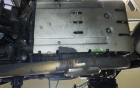 OTHER +ENFIELD ﾋﾏﾗﾔﾝ 2021