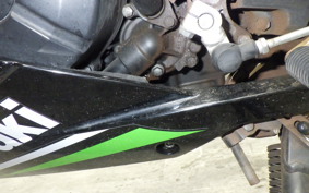 KAWASAKI NINJA 250 ABS 2026 EX250L
