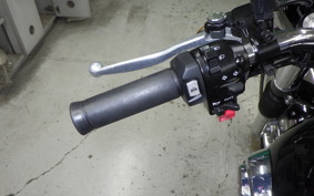 KAWASAKI W800 2025 EJ800E