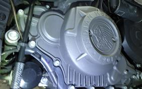 INDIAN FTR1200 carbon 2022