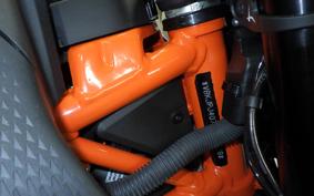 KTM 390 DUKE 1994