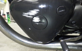 KAWASAKI W800 2013 EJ800A