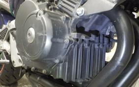 HONDA HORNET 250 2001 MC31