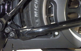 HARLEY FXLRST1920 2024