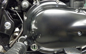 KAWASAKI W800 CAFE 2019 EJ800B