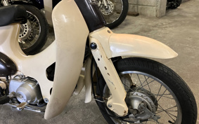 HONDA LITTLE CUB C50