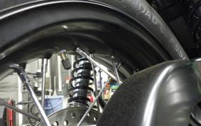 TRIUMPH BONNEVILLE T100 2023