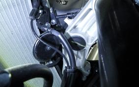 KAWASAKI NINJA ZX-6R A 2025 ZX636J