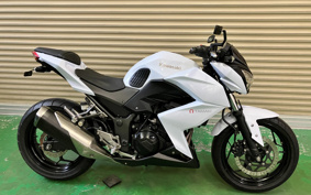 KAWASAKI Z250 ER250C