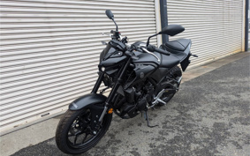 YAMAHA MT-25 RG74J