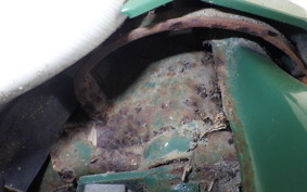 SUZUKI BIRDIE 50 BA41A