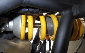 DUCATI MONSTER 821 2020