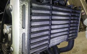 HONDA HORNET 250 MC31