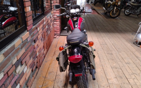 KAWASAKI W800 Special Edition 2013 EJ800A
