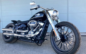 HARLEY FLFBS 2022 YGK