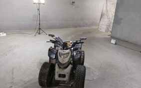 OTHER  BUGGY  ASH  YELLOW RYOU UNKNOWN  ..