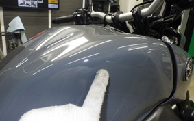 YAMAHA MT-09 2021 RN69J