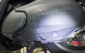 HONDA FAZE 2022 MF11