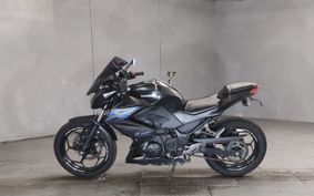KAWASAKI Z250 ER250C