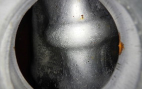 KAWASAKI Z1000 LIMITED 2025